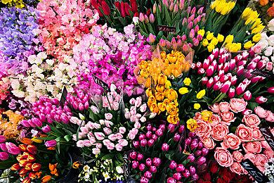 《影之刃零》男主“魂”真人脸模公开 上海模特兼舞台剧演员