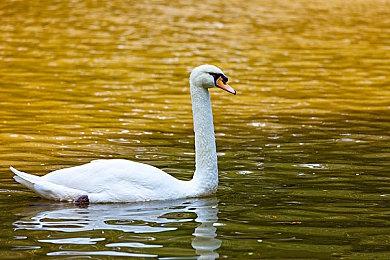 《最后的生还者2》PC版现已发售 Steam特别好评、优化无敌